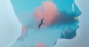 Silhouette of a head in profile filled with sky, pink clouds and a bird